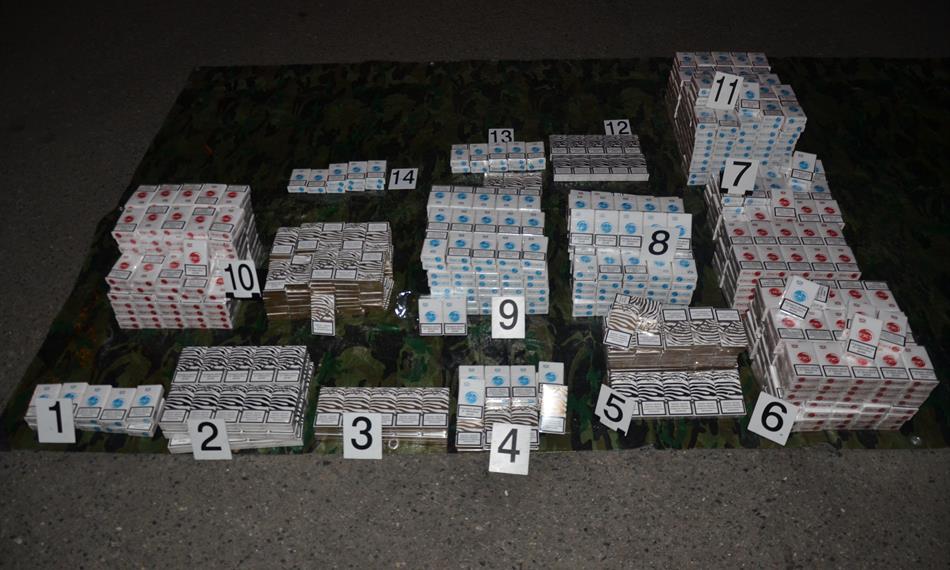 2014-11-3-1016link.bus 4.JPG